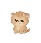 大きな目をした可愛い子猫 （NT）（個別スタンプ：11）