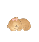 大きな目をした可愛い子猫 （NT）（個別スタンプ：14）