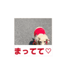 川口家のちょこまろらて2（個別スタンプ：13）
