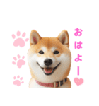 柴犬の日常と気持ち（個別スタンプ：1）