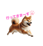 柴犬の日常と気持ち（個別スタンプ：3）