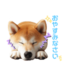 柴犬の日常と気持ち（個別スタンプ：7）
