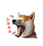柴犬の日常と気持ち（個別スタンプ：8）