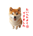 柴犬の日常と気持ち（個別スタンプ：9）