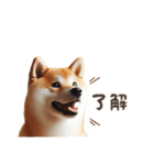 柴犬の日常と気持ち（個別スタンプ：12）