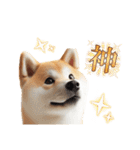 柴犬の日常と気持ち（個別スタンプ：14）