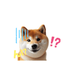 柴犬の日常と気持ち（個別スタンプ：15）