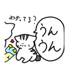 もちにゃあの毎日使えるスタンプ（個別スタンプ：11）