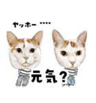 ちょっぴり敬語のスタンプ 変身シリーズ（個別スタンプ：2）