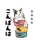 ちょっぴり敬語のスタンプ 変身シリーズ（個別スタンプ：6）