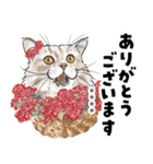 ちょっぴり敬語のスタンプ 変身シリーズ（個別スタンプ：14）