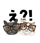 ちょっぴり敬語のスタンプ 変身シリーズ（個別スタンプ：23）