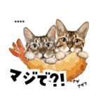 ちょっぴり敬語のスタンプ 変身シリーズ（個別スタンプ：24）
