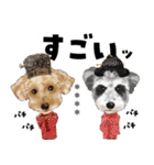 ちょっぴり敬語のスタンプ 変身シリーズ（個別スタンプ：26）