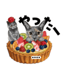 ちょっぴり敬語のスタンプ 変身シリーズ（個別スタンプ：29）
