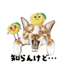 ちょっぴり敬語のスタンプ 変身シリーズ（個別スタンプ：38）