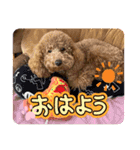 チョコくんスタンプ 3（個別スタンプ：2）