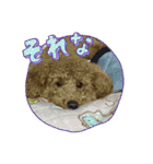チョコくんスタンプ 3（個別スタンプ：4）