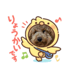 チョコくんスタンプ 3（個別スタンプ：5）