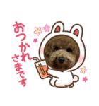 チョコくんスタンプ 3（個別スタンプ：6）