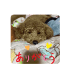 チョコくんスタンプ 3（個別スタンプ：8）