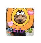 チョコくんスタンプ 3（個別スタンプ：9）