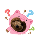 チョコくんスタンプ 3（個別スタンプ：10）