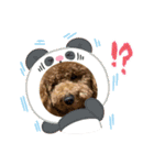 チョコくんスタンプ 3（個別スタンプ：16）