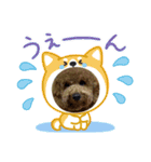 チョコくんスタンプ 3（個別スタンプ：17）