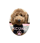 チョコくんスタンプ 3（個別スタンプ：20）
