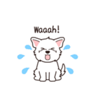『ウエスティ』英語でよく使う感情表現（個別スタンプ：13）
