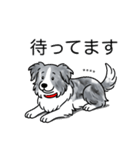 名前入りボーダーコリーブルーマール（個別スタンプ：23）