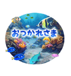 飛び出す♪聖なる海（個別スタンプ：7）