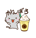 小さいアメショ★食べ物（個別スタンプ：12）