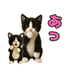 仲良し三匹 ぬいぐるみ編（個別スタンプ：24）