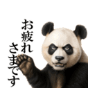 眼力で語るアニマル（個別スタンプ：9）