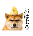 眼力で語るアニマル（個別スタンプ：10）