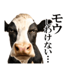 眼力で語るアニマル（個別スタンプ：15）