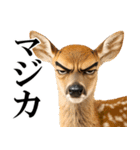 眼力で語るアニマル（個別スタンプ：16）