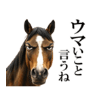 眼力で語るアニマル（個別スタンプ：19）
