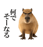 眼力で語るアニマル（個別スタンプ：20）