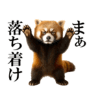 眼力で語るアニマル（個別スタンプ：21）