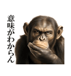 眼力で語るアニマル（個別スタンプ：22）