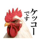 眼力で語るアニマル（個別スタンプ：23）