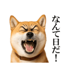 眼力で語るアニマル（個別スタンプ：24）