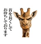 眼力で語るアニマル（個別スタンプ：25）