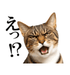 眼力で語るアニマル（個別スタンプ：32）