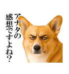 眼力で語るアニマル（個別スタンプ：33）