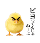 眼力で語るアニマル（個別スタンプ：37）