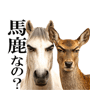 眼力で語るアニマル（個別スタンプ：39）